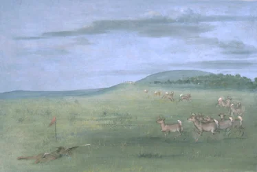 Antilopenjagd, angelockt