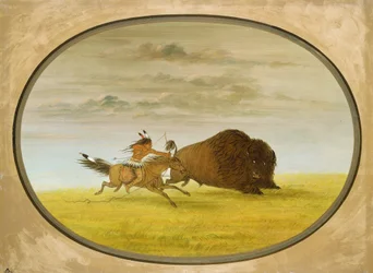 Büffeljagd