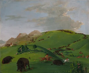 Büffeljagd, Mündung des Yellowstone