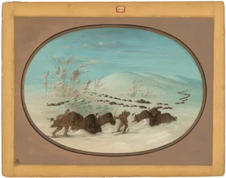 Büffeljagd in den Schneeverwehungen - Ojibbeway