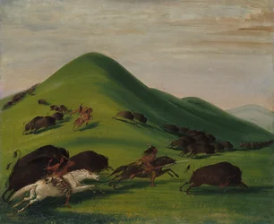 Büffeljagd über Prärieklippen, 1832-1833