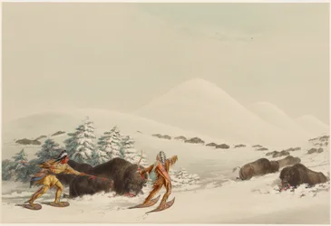 Büffeljagd auf Schneeschuhen