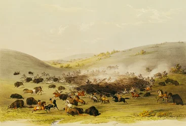 Büffeljagd, Umzingelung, ca. 1832