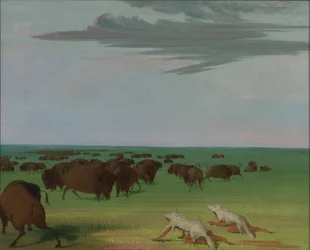 Büffeljagd unter der Wolfsmasken