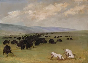Catlin und sein indianischer Führer nähern sich Büffeln unter Fellen weißer Wölfe, 1846-1848.