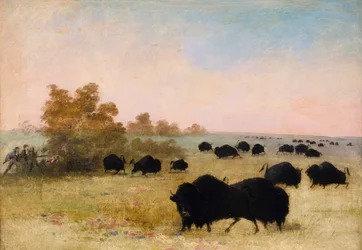Catlin und Gruppe auf Büffeljagd, Oberer Missouri