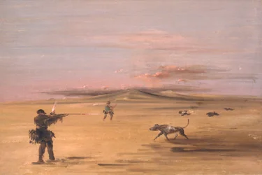 Moorhuhnjagd auf den Missouri-Prärien