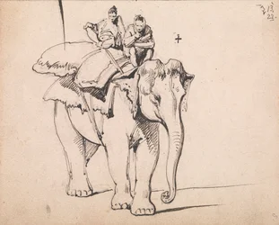 Ein Elefant
