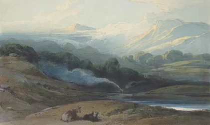 Rinder ruhen in einer bergigen Landschaft