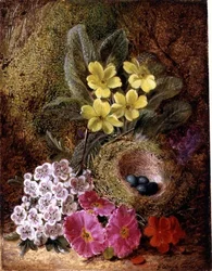 Stillleben mit Vogelnest und Primeln