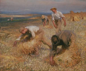 Garben binden