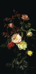 Rosen