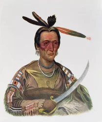 To-Ka-Cou, ein Yankton Sioux Häuptling, 1837, Illustration aus 