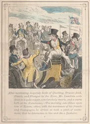 Illustrationen aus Mr. Lambkin, Platte 8