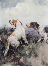 Setter