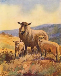 Lulu und seine Mutter