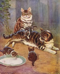 Nell war eine schöne getigerte Katze