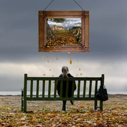 Gerahmte Herbstbetrachtung