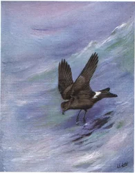 Wellenläufer