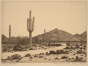 Straße zum Paradies-Tal, Arizona
