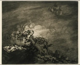 Sturm nahe der Baumgrenze
