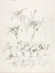 Ohne Titel (Lilien und Gundermann) (Glecoma Hederacea)