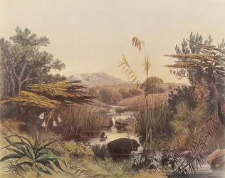 Der Umnonoti-Fluss bei Sonnenuntergang