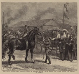 Die Ausstellung der Royal Agricultural Society in Bedford, Pferdeparade vor dem Kronprinzen und der Kronprinzessin von Deutschland