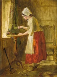 Vogel füttern