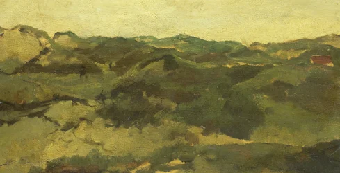 Eine Heidelandschaft, vermutlich in Drenthe