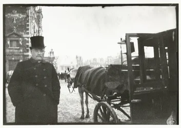 Pferde mit Kutsche auf dem Leidseplein in Amsterdam