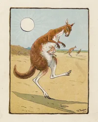 Das Känguru