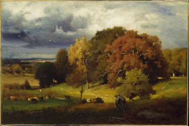 Herbstliche Eichen