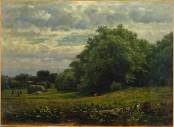 Erntezeit