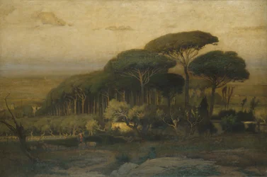 Kiefernwald der Villa Barberini