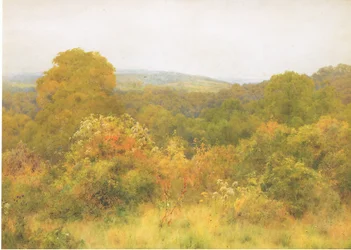 Naturgarten