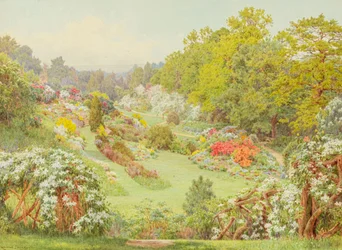 Frühlingsblüten