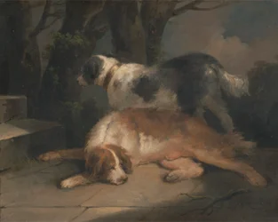 Setter