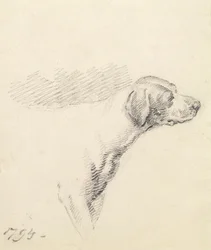 Studie eines Hundes, 1794