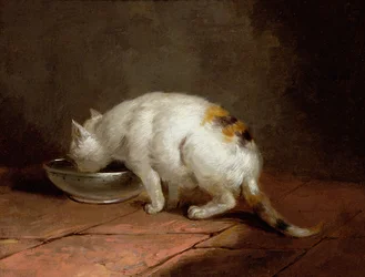 Die Katze des Künstlers trinkt
