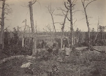 Schlachtfeld von Resacca, Georgia Nr. 3, 1860er Jahre