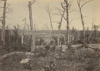 Schlachtfeld von Resaca, Georgia, Nr. 3, 1864