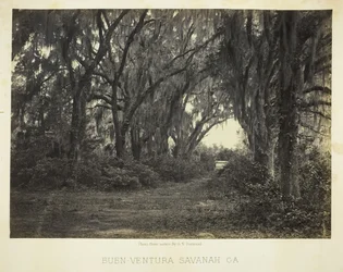 Buen-Ventura Savannah, Ga., 1866