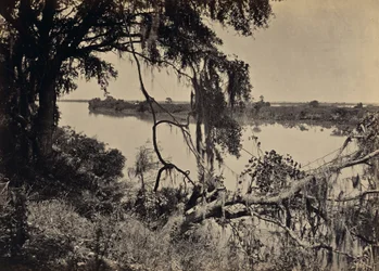 [Savannah River, nahe Savannah, Georgia]