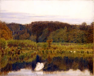Abinger Mill Pond, Surrey - Morgen im Spätherbst