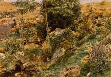 Herbst in den walisischen Hügeln