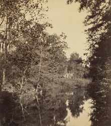 The Dell