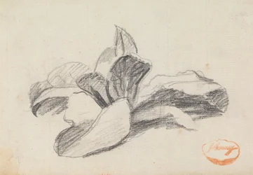 Studie von Blättern 2