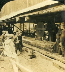 Die Holzindustrie, Warburton, Victoria, Australien, 1909
