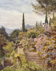 Italienische Gärten: Wisteria, Villa Cavagnaro